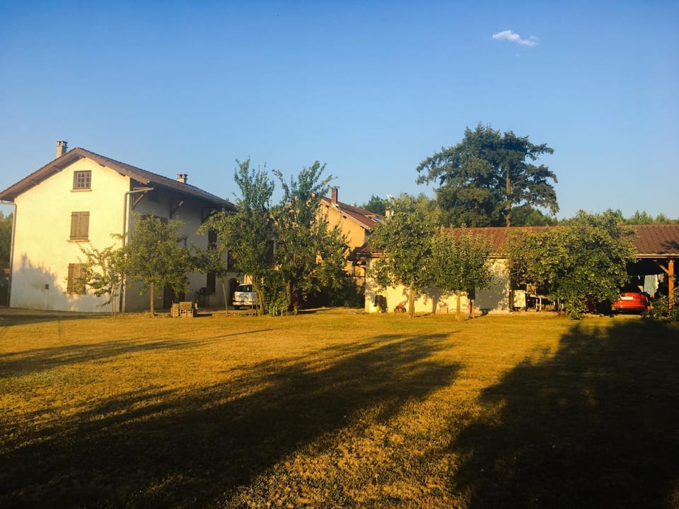 Property building, Garden, Garden