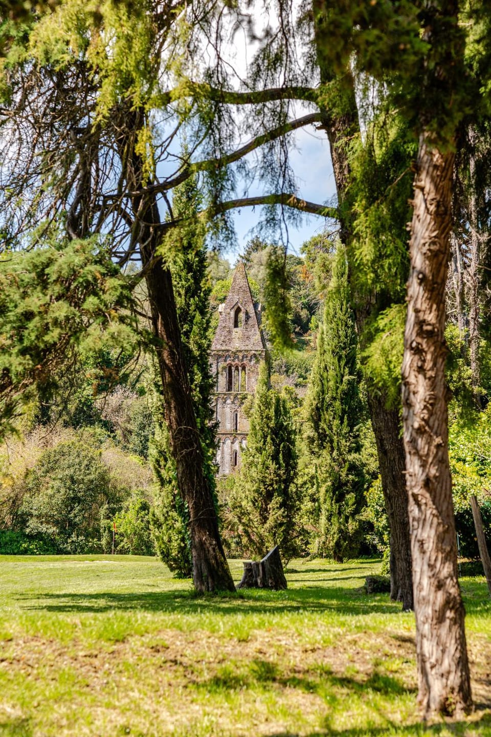 Nearby landmark, Day, Natural landscape, Garden, Garden view
