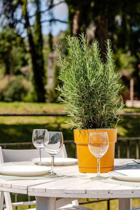 Day, Garden, Dining area, Garden view
