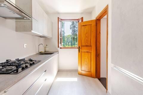 Kitchen or kitchenette, stove