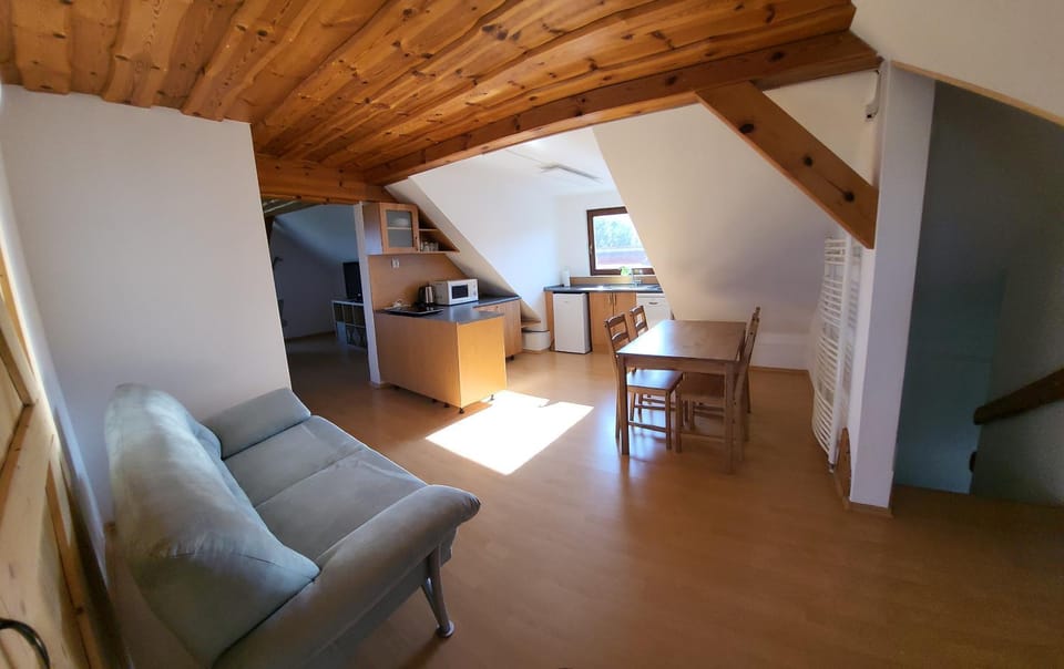 Kitchen or kitchenette, Dining area, stove