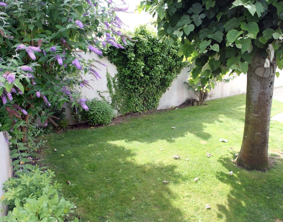 Garden, Balcony/Terrace