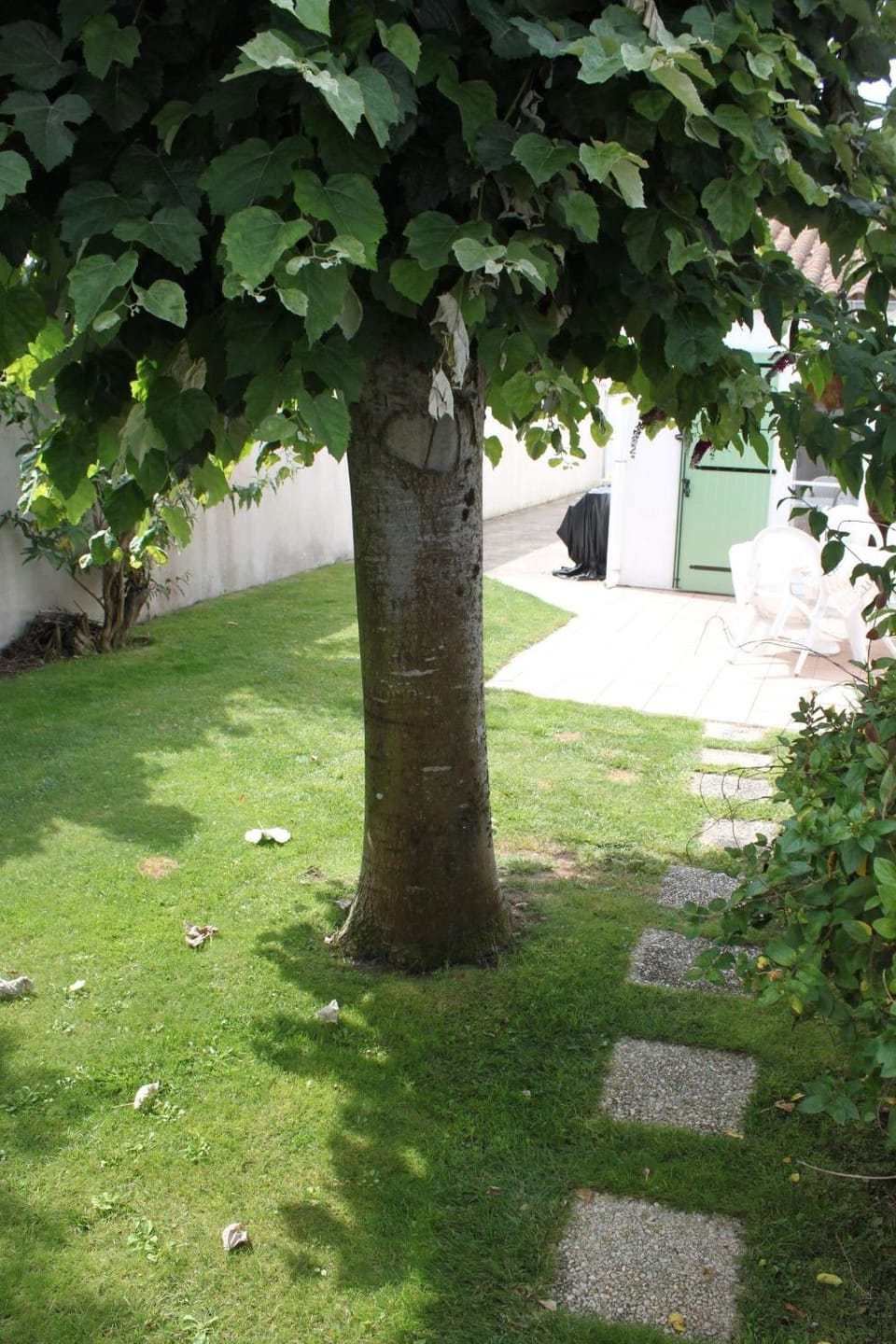 BBQ facilities, Garden