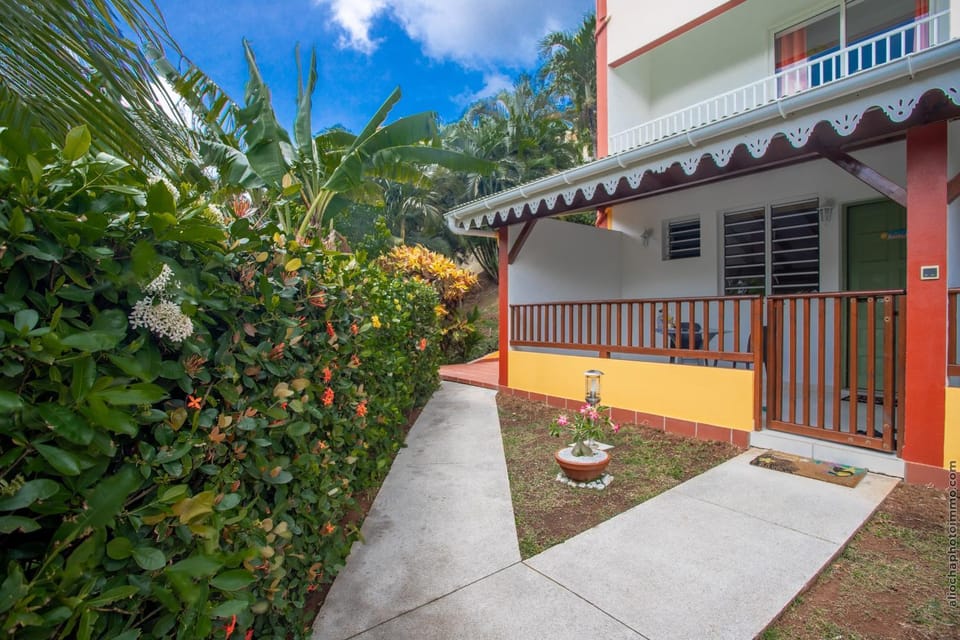 Patio, Garden, Garden view
