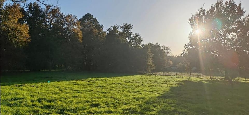 Garden view, Sunrise