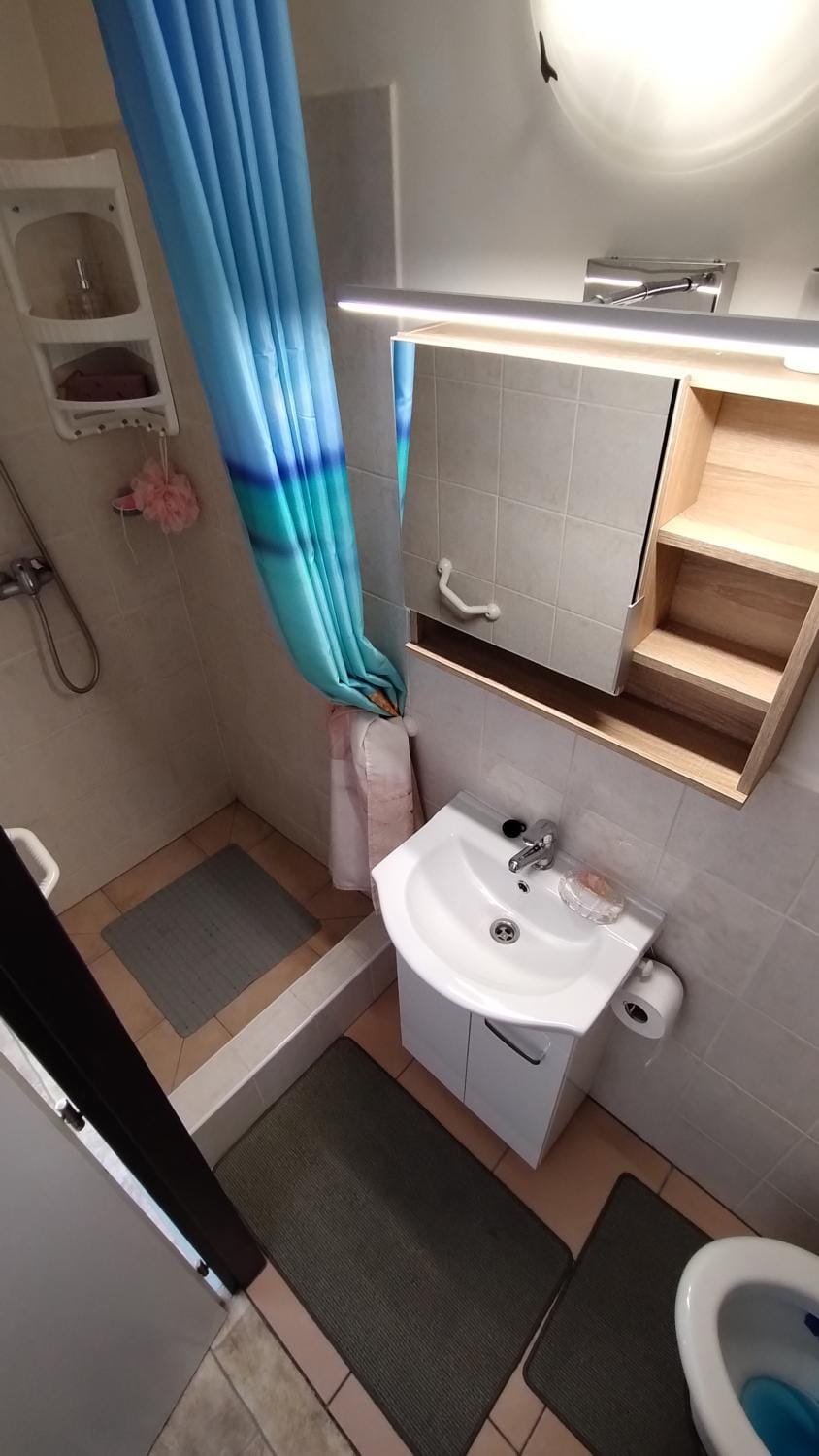 Toilet, Bathroom