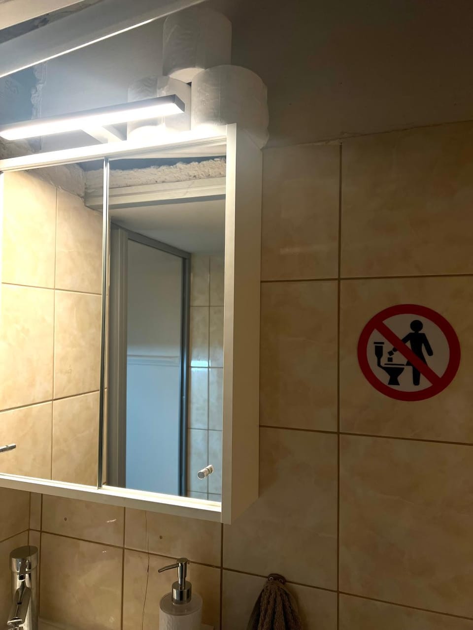 Shower, Bathroom