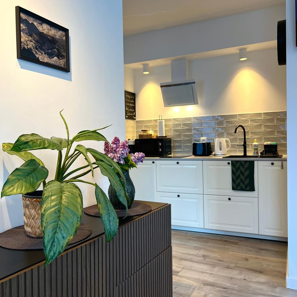 Kitchen or kitchenette, microwave, stove, toaster