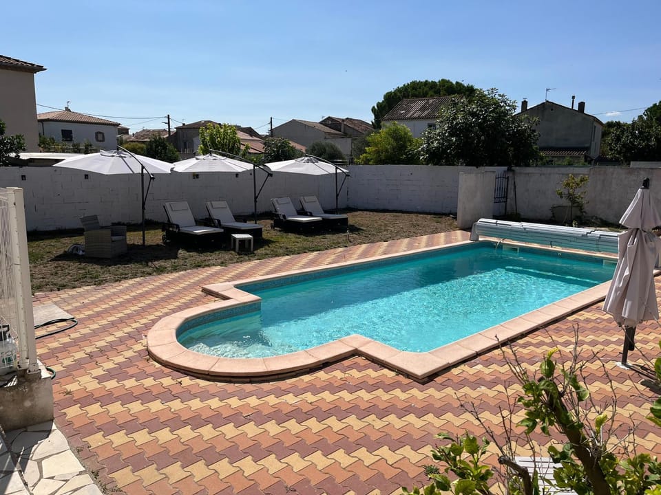 Garden, Pool view, Swimming pool, sunbed