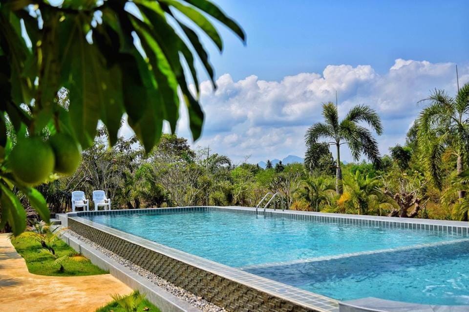Pool view, Swimming pool, Swimming pool, Family