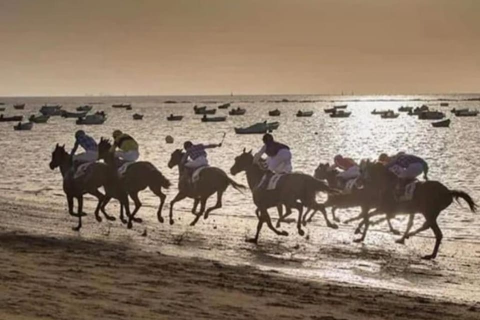 Horse-riding, Beach, Sea view