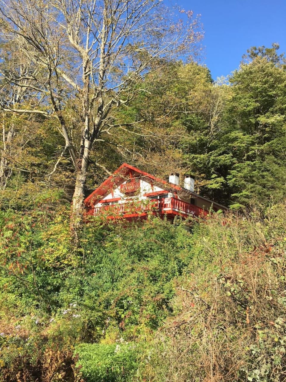 Catskill Cabin Duplex Apartment Cabin in Shandaken