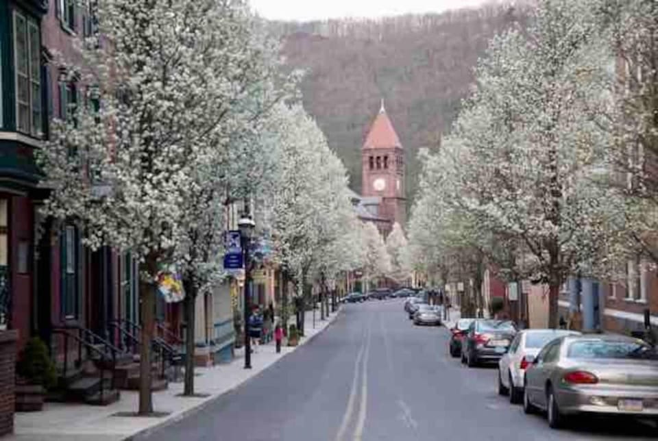 Spring, Neighbourhood, Natural landscape, Street view