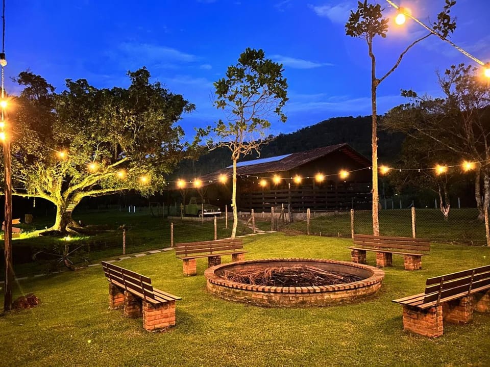 Spring, Night, Natural landscape, Garden, Garden view