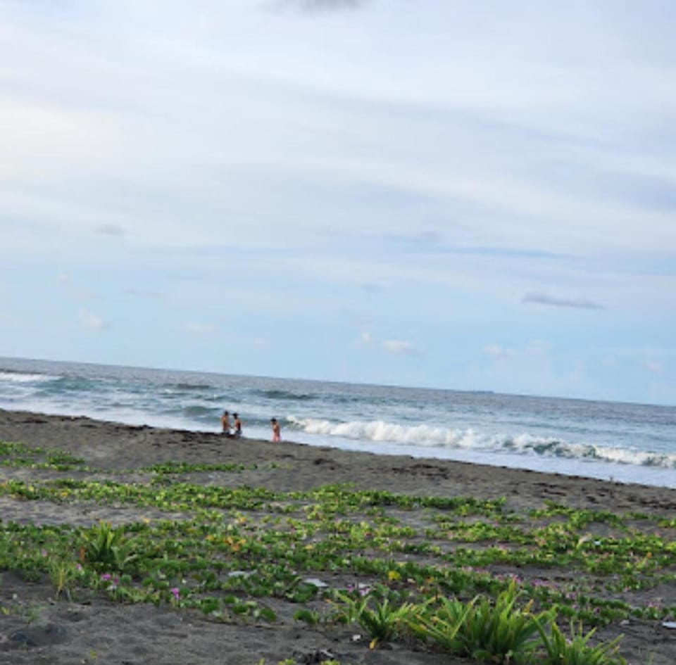 Natural landscape, Beach, Sea view