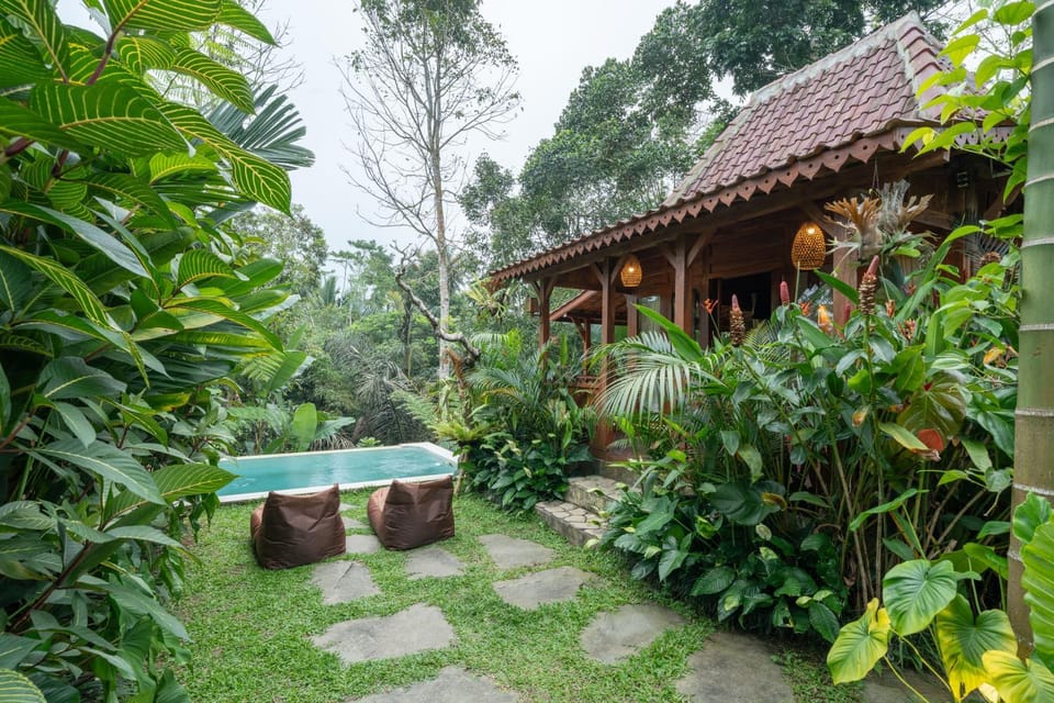 Day, Billiard, Garden, Pool view