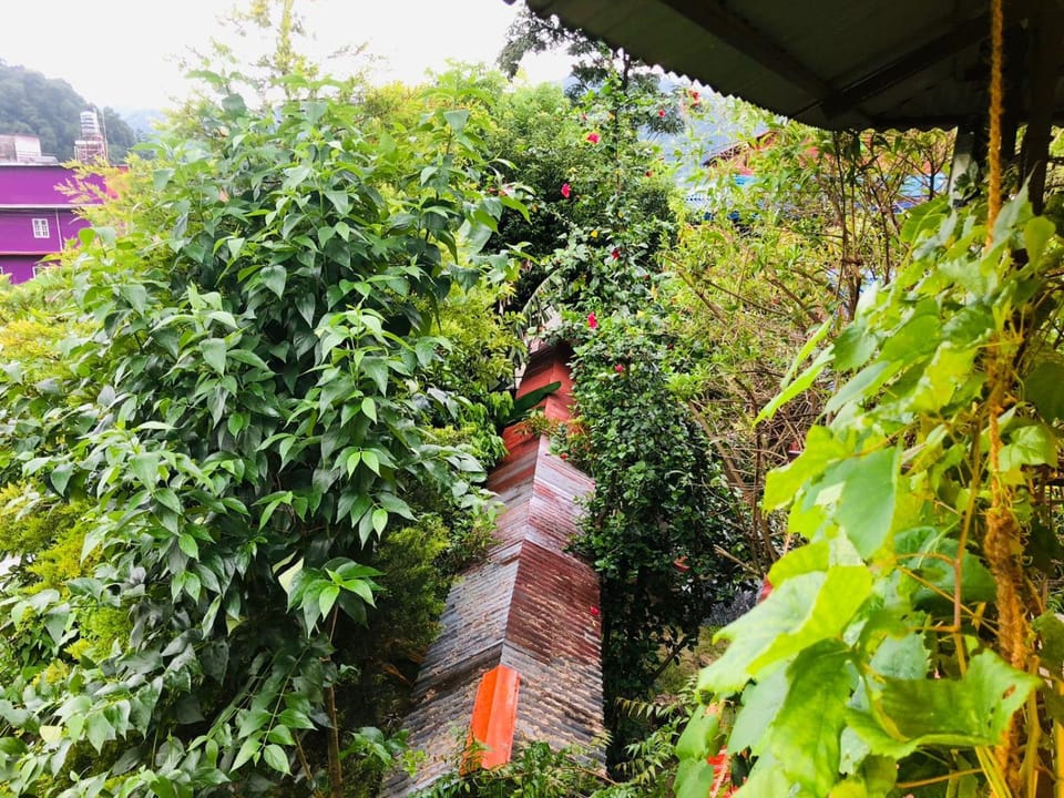 Goodday Backpackers Hostel in Bagmati Province, Nepal