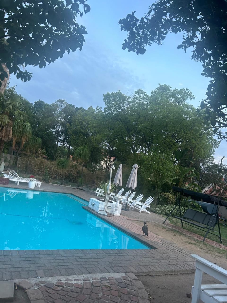 Fourways executive spa and accommodation Bed and Breakfast in Sandton