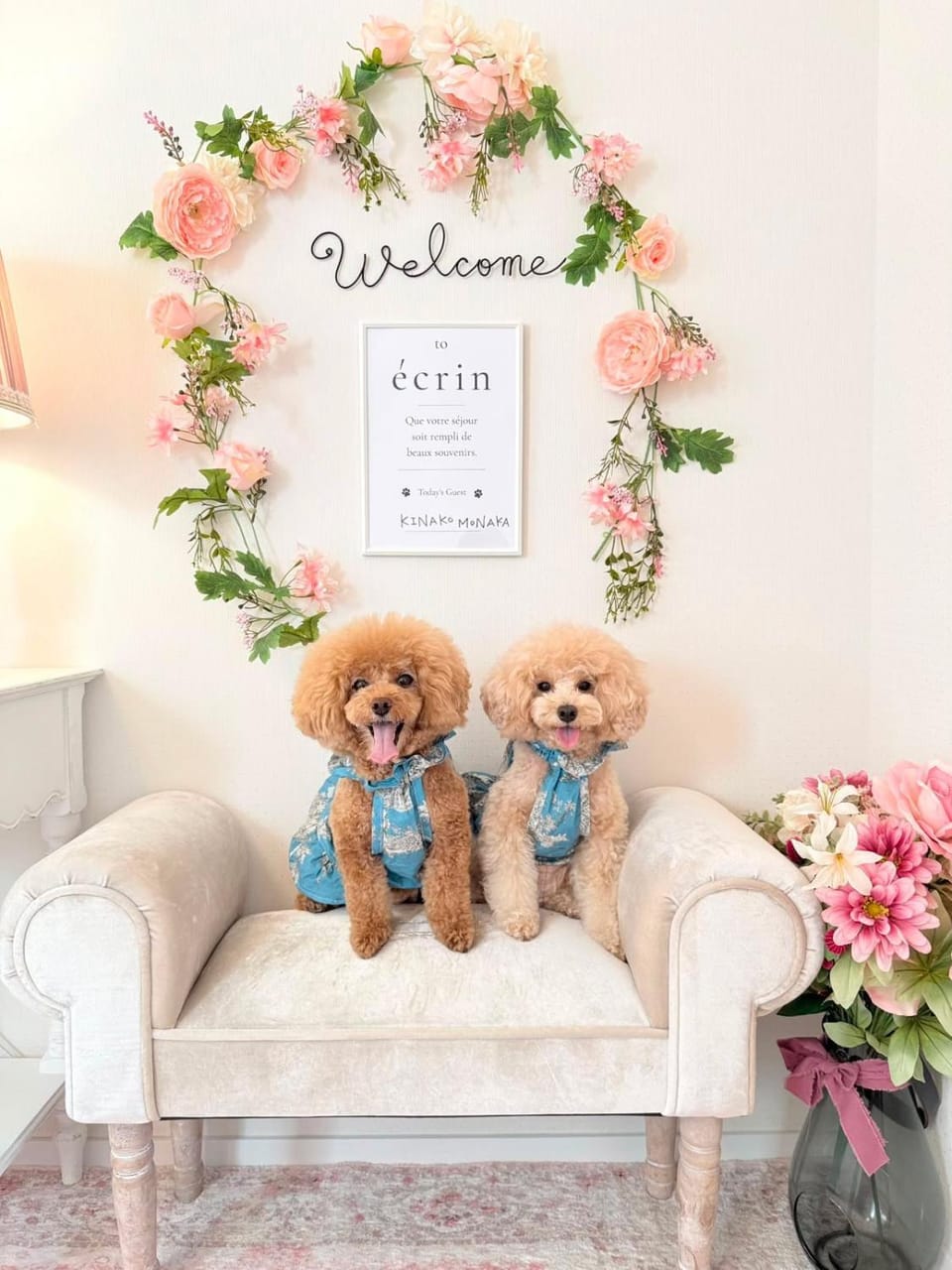 Animals, Animals, Pets, Pets, pet friendly, pet friendly