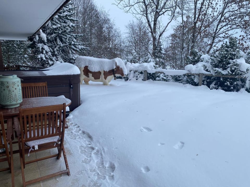 Luxurious Flat with Jacuzzi Sauna Apartment in Saanen