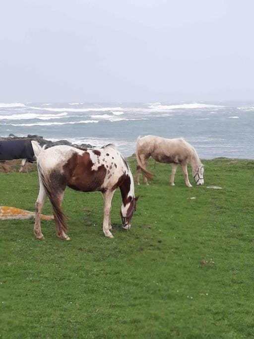 Maison lumineuse - vue sur mer à 150m de la plage House in Finistere