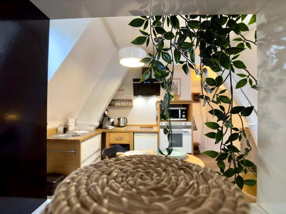 Rouen Hyper centre - L'Antiquaire Apartment in Rouen