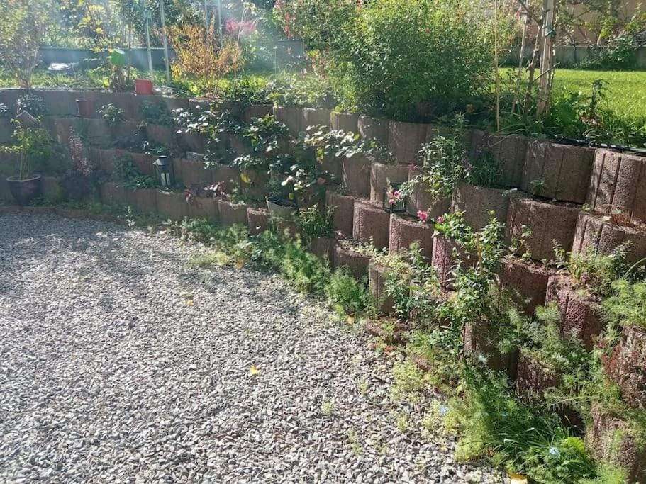 Garden, Balcony/Terrace
