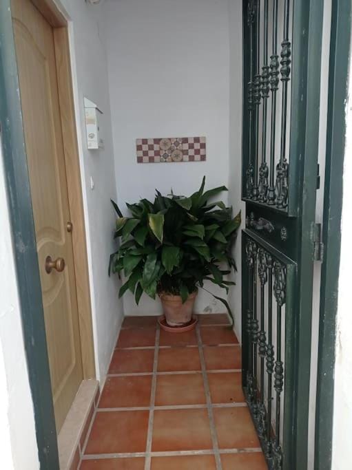 Casa de la Ermita House in Alhaurín de la Torre