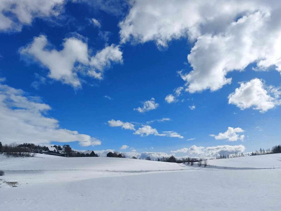 Winter, Mountain view