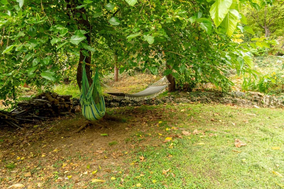 Garden, Inner courtyard view