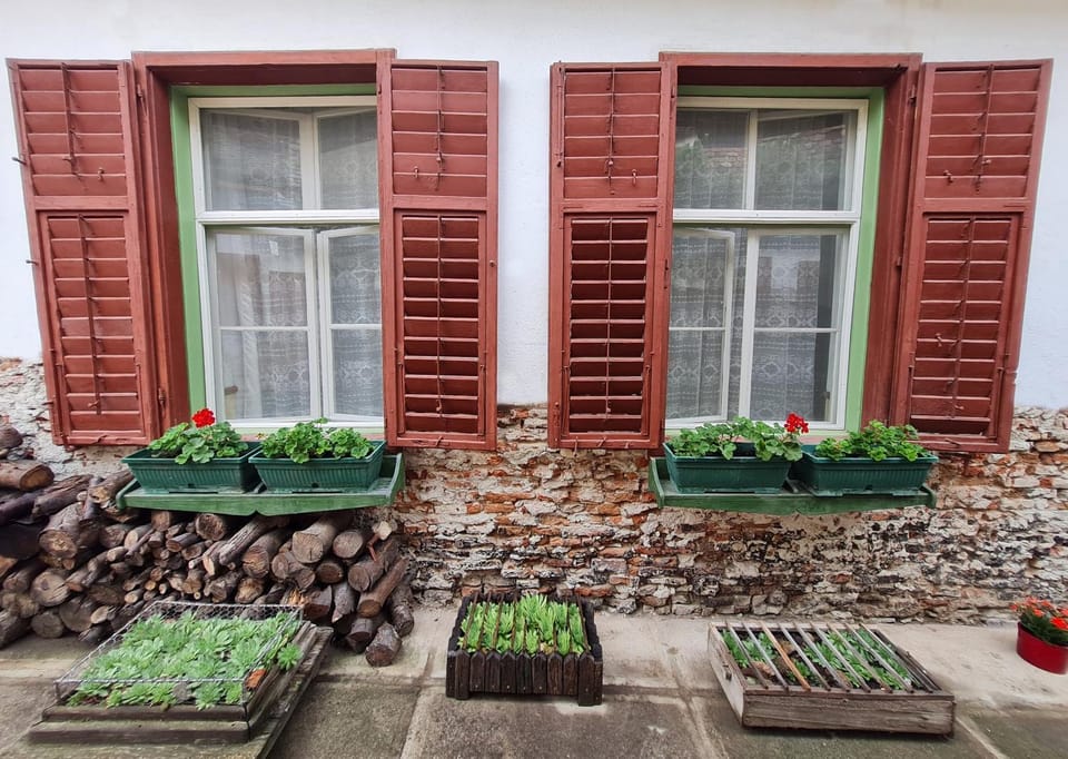 ''Casa Mia'' Camera Verde Bed and Breakfast in Sibiu