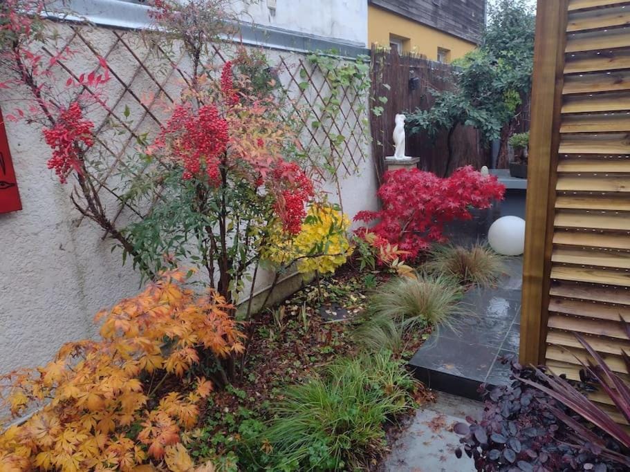 Garden, Garden, Garden view