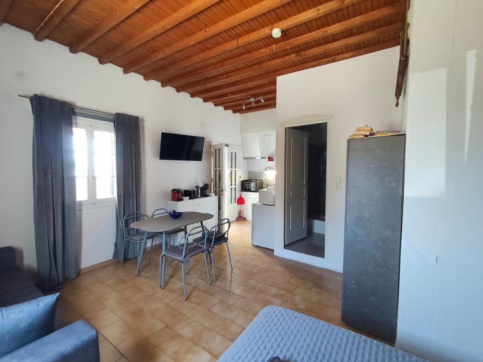 Topwindmill Apartment Apartment in Mykonos