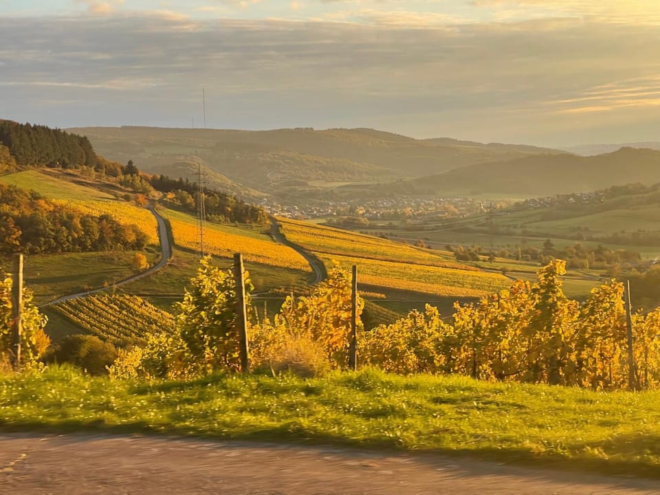 Nearby landmark, Natural landscape, Coffee/tea facilities, Sunset