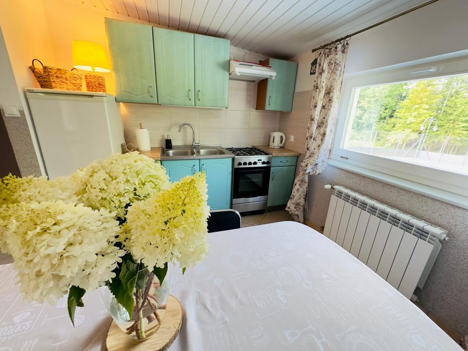 ATENY NIEGRECKIE Dom Wczasowy Bed and Breakfast in Poland