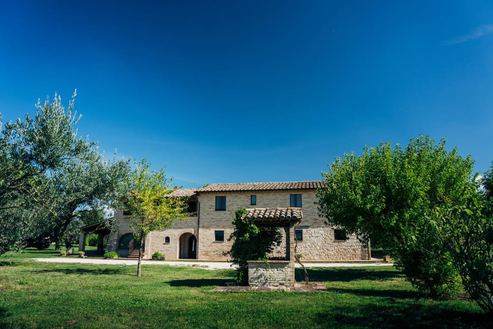 Property building, Garden, Garden, Garden view