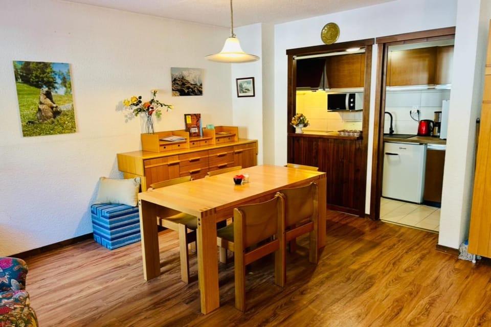 Beautiful T2 with balcony near track Apartment in Chamonix