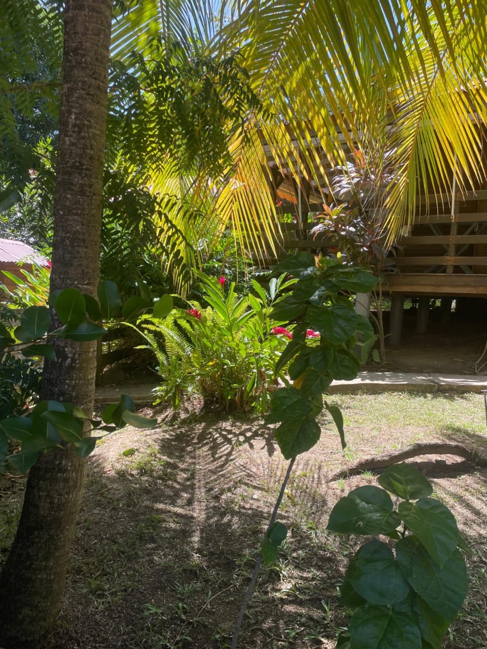 EDEN Mango Apartment in Leeward Islands