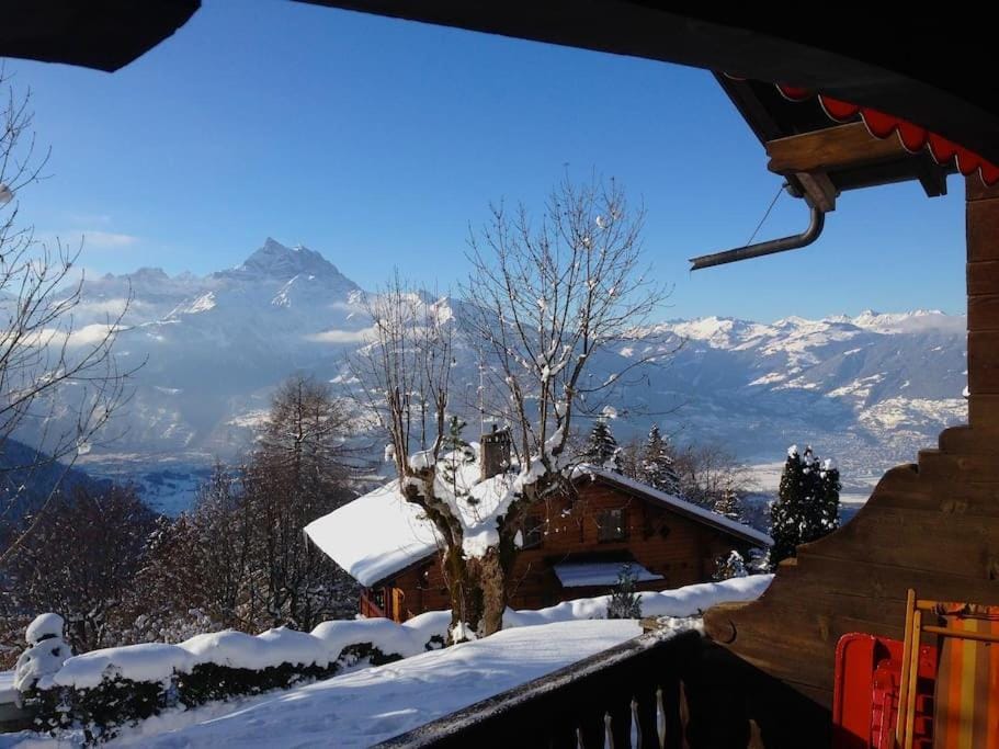 Tanière Chalet in Ollon