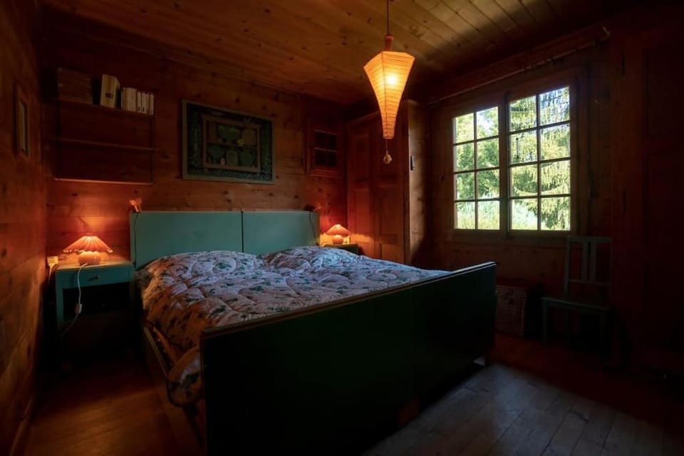 Tanière Chalet in Ollon