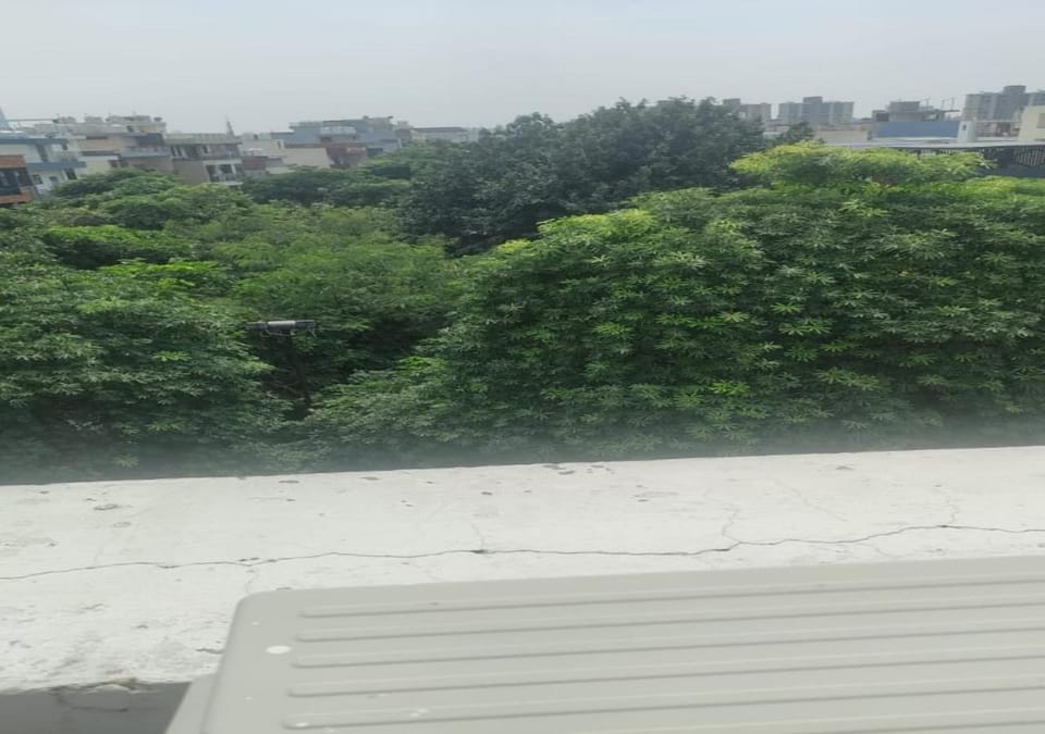Natural landscape, View (from property/room)