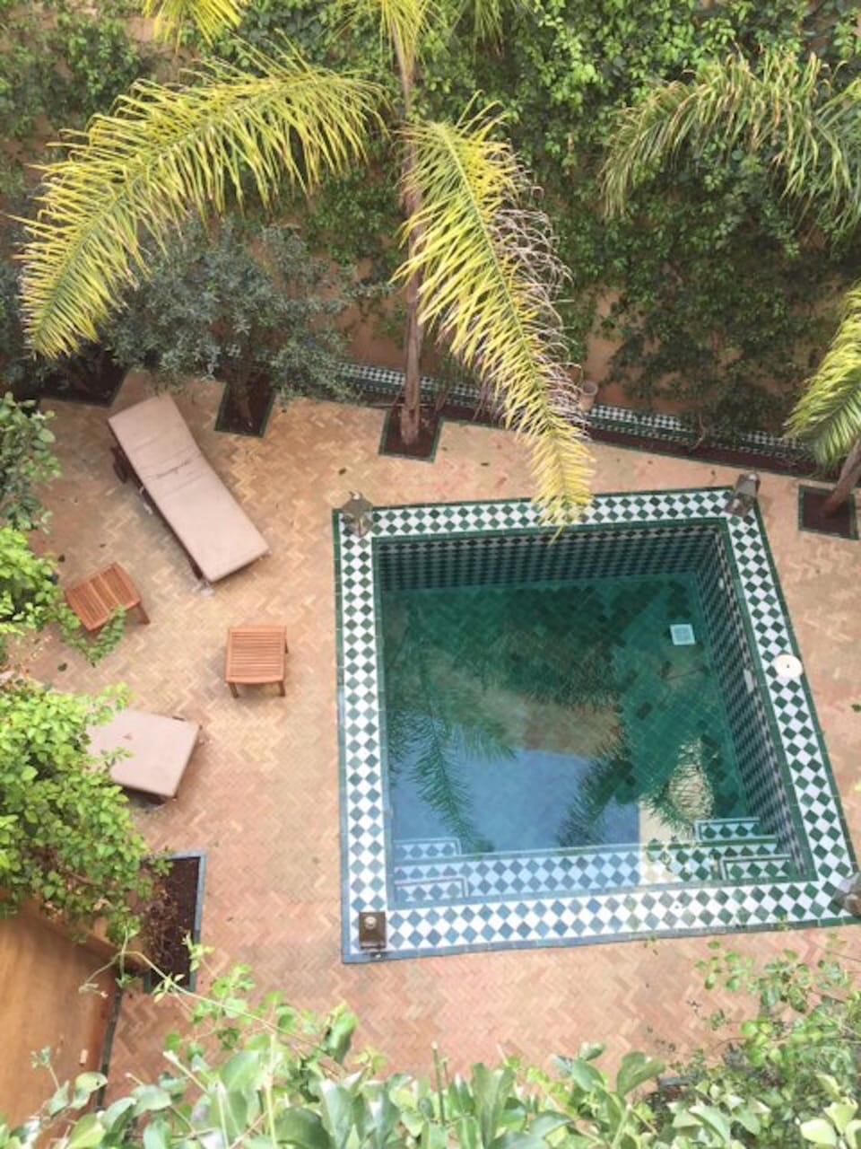 Patio, Garden, Swimming pool