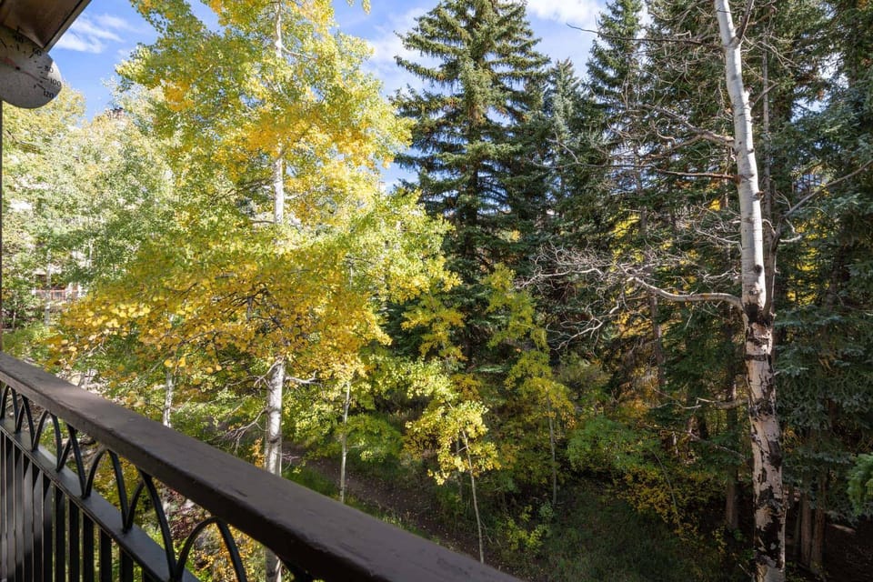 The Charter at Beaver Creek C2105 Apartment in Beaver Creek