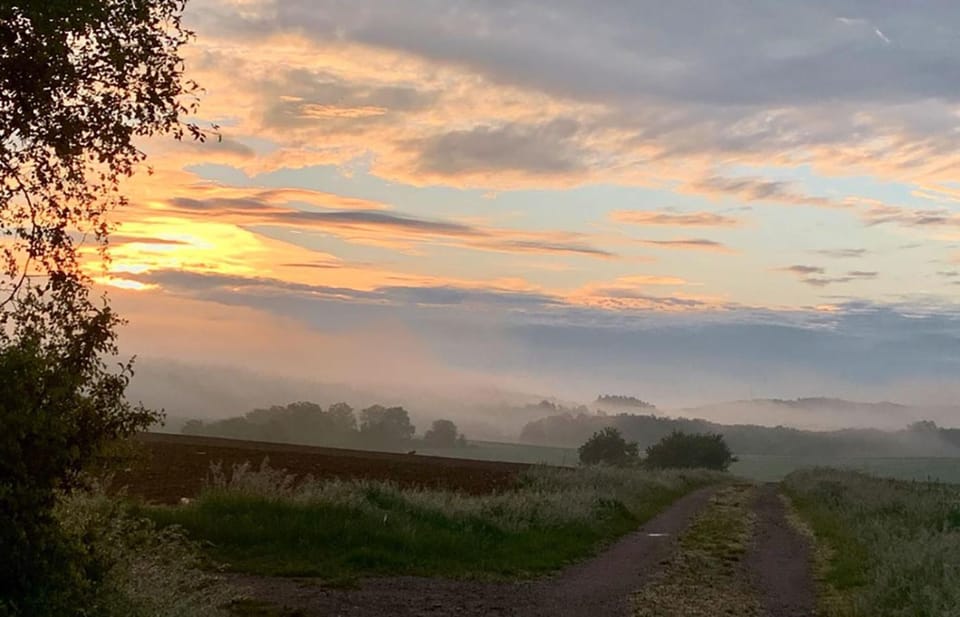 Natural landscape, Activities, Hiking, Cycling, Pets, Sunrise