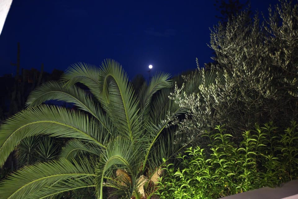 Night, Balcony/Terrace, Garden view