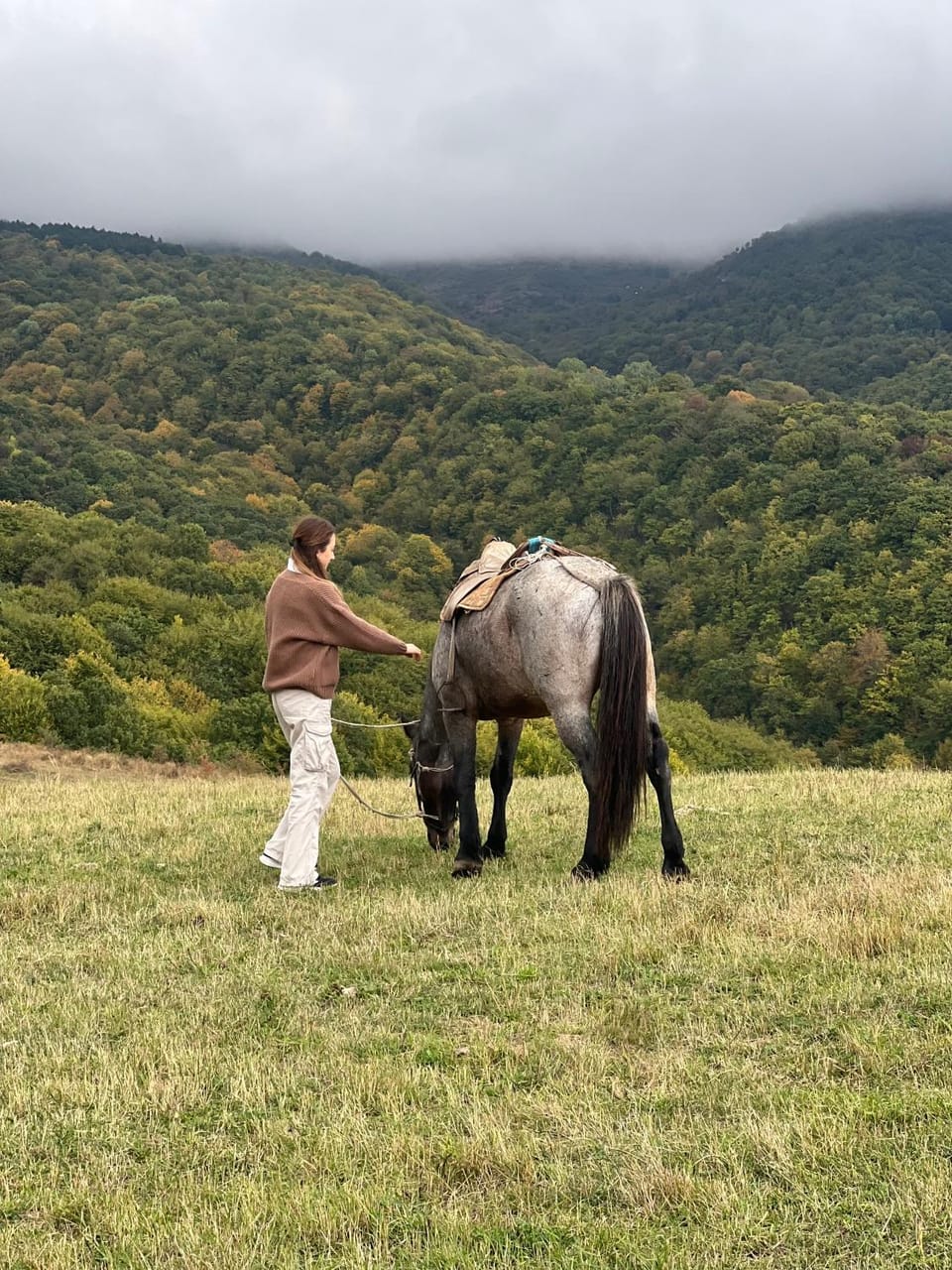 Day, People, Natural landscape, Horse-riding, Animals, children, group of guests