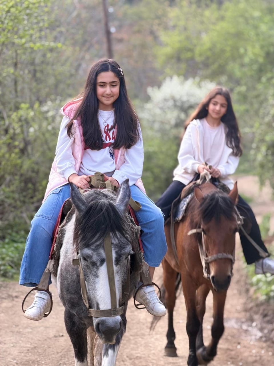 Day, People, Horse-riding, Horse-riding, Animals, children, group of guests