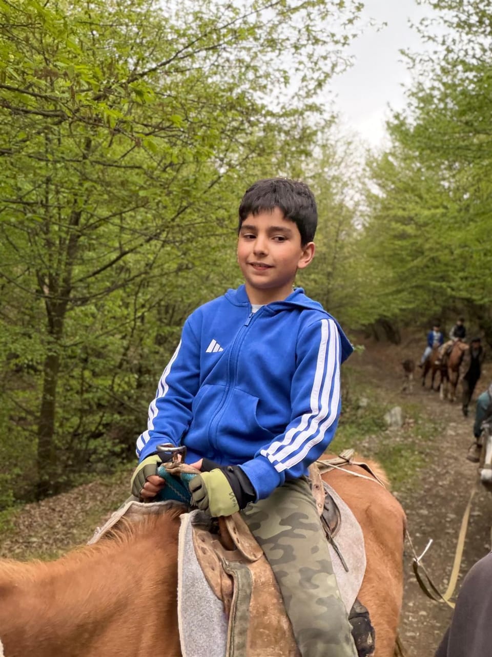 Day, People, Horse-riding, Horse-riding, Animals, children, group of guests