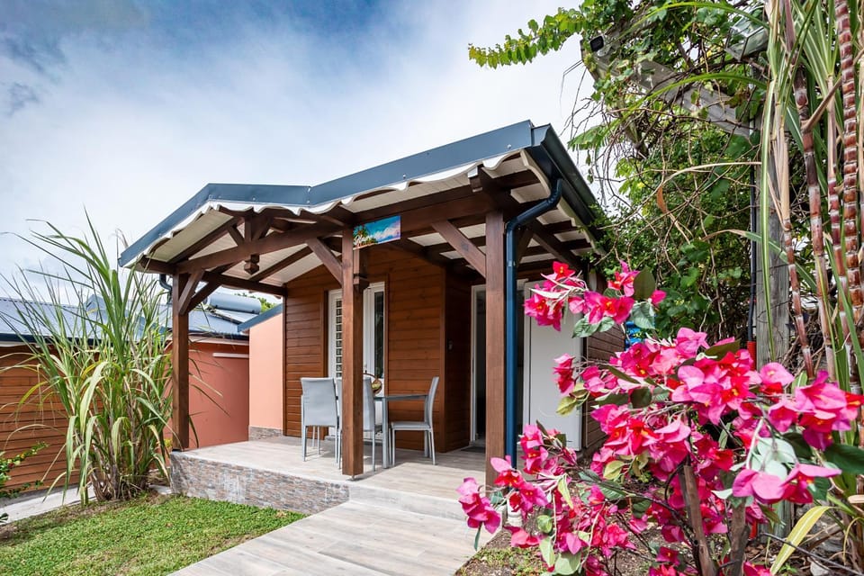 Property building, Garden, Garden view
