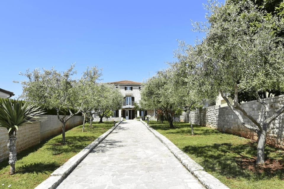 Property building, Garden, Garden view
